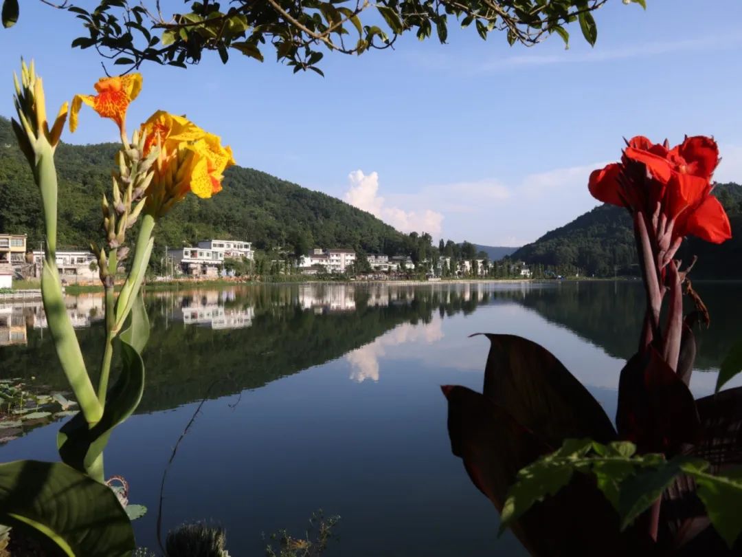 447459b8eac8fd19d5ef9777c7571998.jpg 447459b8eac8fd19d5ef9777c7571998.jpg