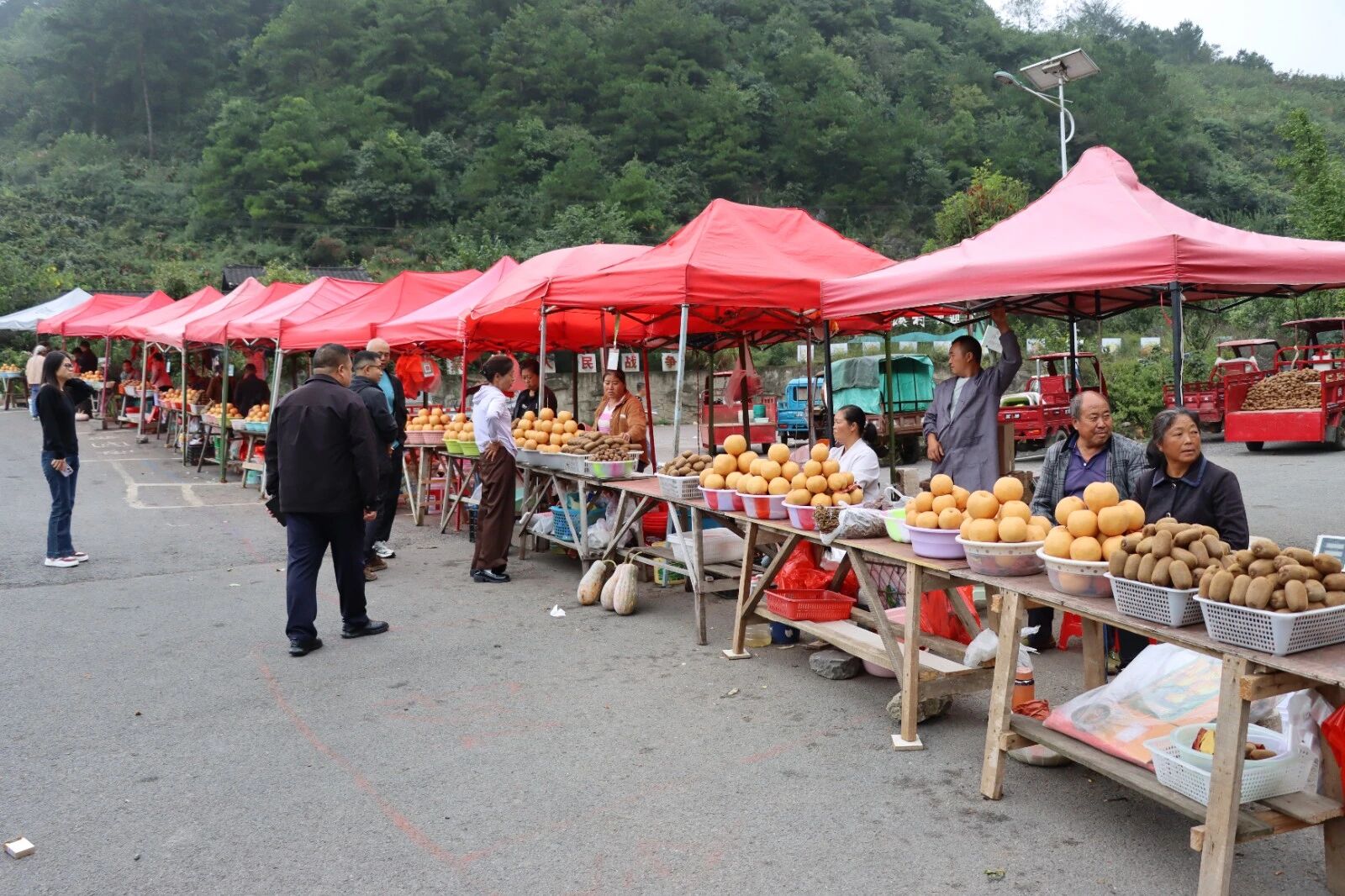 修文縣谷堡鎮(zhèn)折溪村：金秋梨獼猴桃實現(xiàn)雙豐收