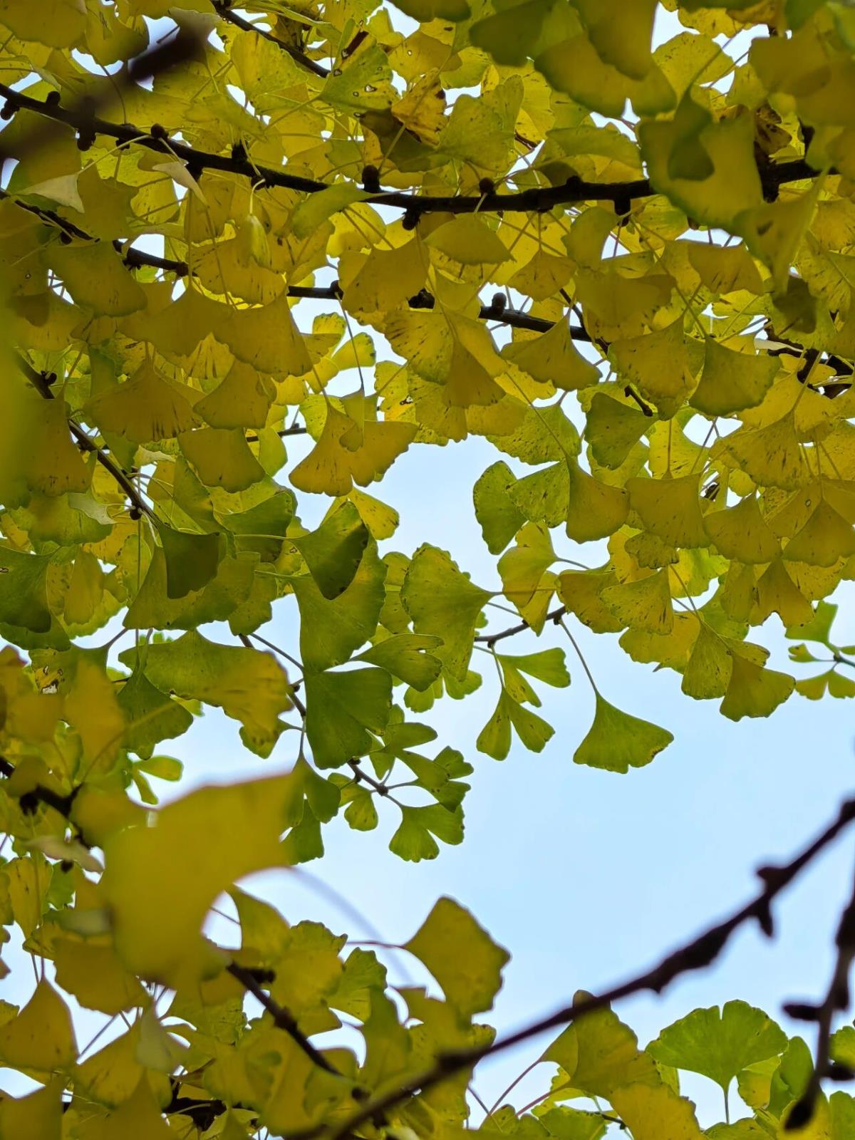 12cae360e8ae4a804e619cede054d4bf.jpg 12cae360e8ae4a804e619cede054d4bf.jpg